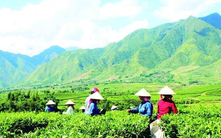 Sa Pa to Mu Cang Chai Private Car Tour Including All Meals and Visits to Rice Terraces and Ethnic Villages Image 7