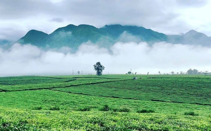Sa Pa to Mu Cang Chai Private Car Tour Including All Meals and Visits to Rice Terraces and Ethnic Villages Image 8