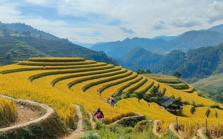 Sa Pa to Mu Cang Chai Private Car Tour Including All Meals and Visits to Rice Terraces and Ethnic Villages Image 9