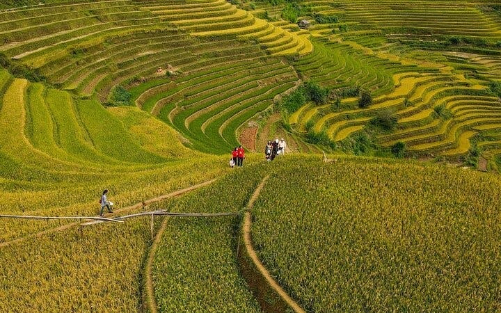 Sa Pa to Mu Cang Chai Private Car Tour Including All Meals and Visits to Rice Terraces and Ethnic Villages Image 10