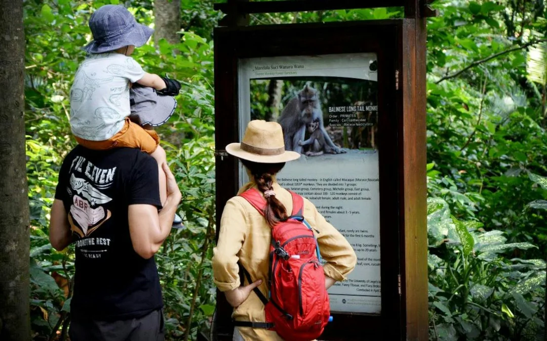 Sacred Monkey Forest Ubud Tickets Image 1