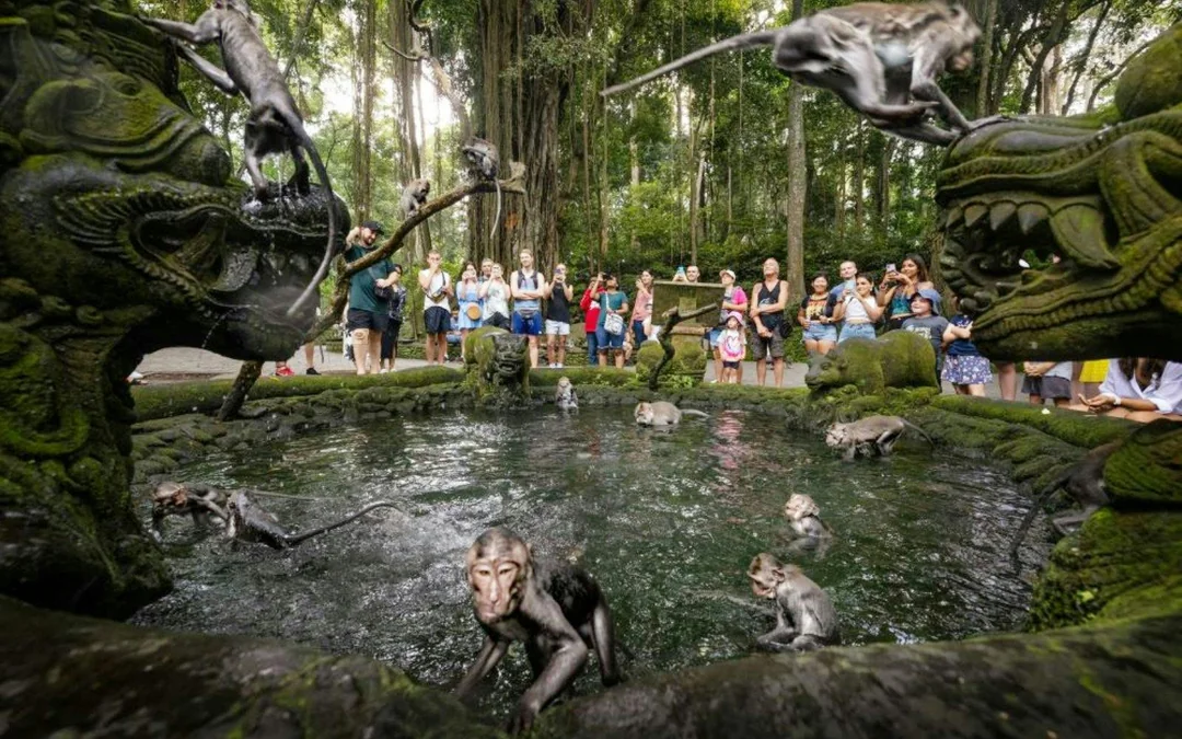 Sacred Monkey Forest Ubud Tickets Image 3