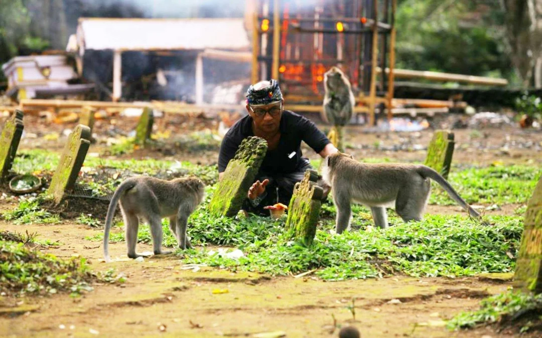 Sacred Monkey Forest Ubud Tickets Image 5