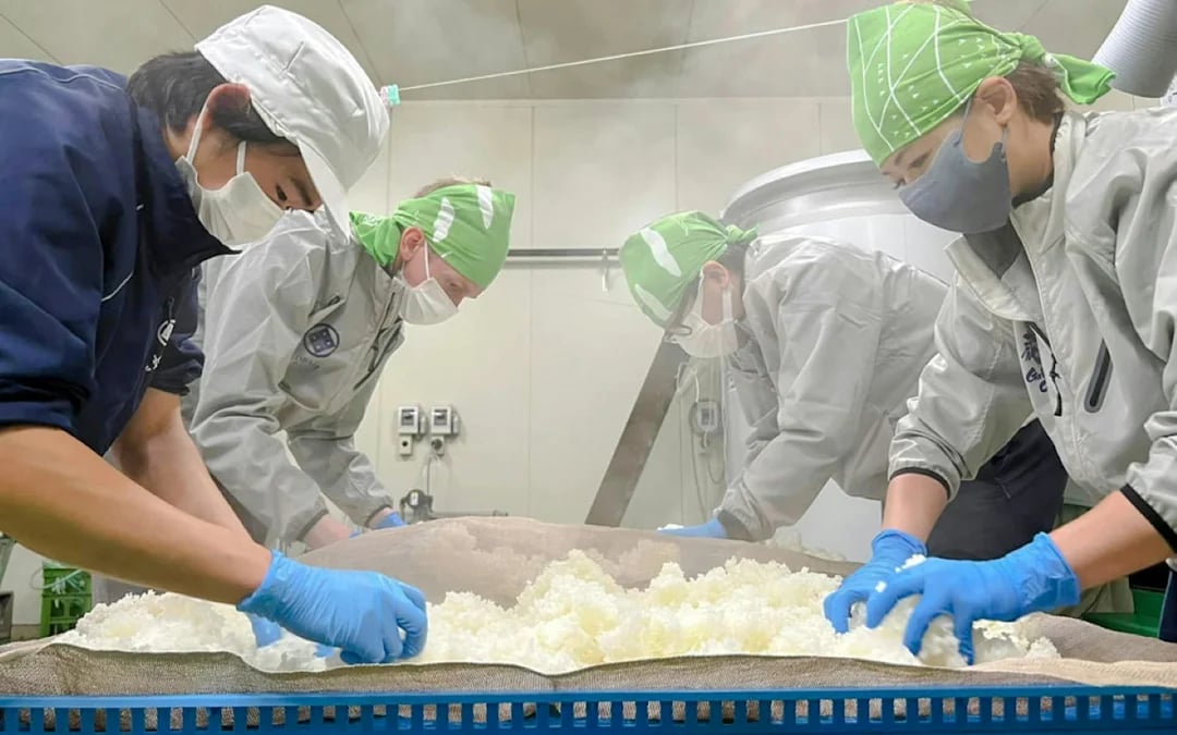 Sado Island Obata Sake Brewery Guided Tour and Tasting Image 1