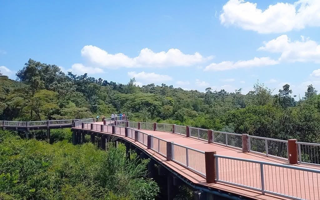 Safari Walk Tickets Nairobi National Park with Optional Hotel Transfers Image 1