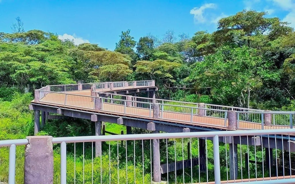Safari Walk Tickets Nairobi National Park with Optional Hotel Transfers Image 4