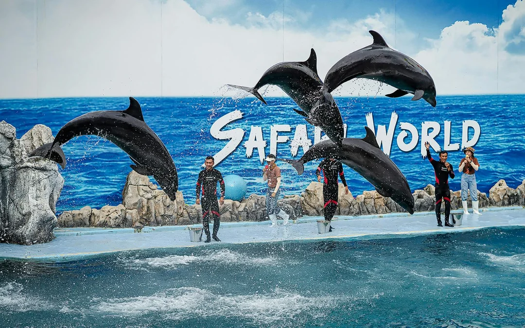 Safari World + Marine Park Tickets with Lunch and Optional Transfers
Image 12