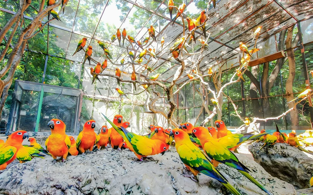 Safari World + Marine Park Tickets with Lunch and Optional Transfers
Image 3