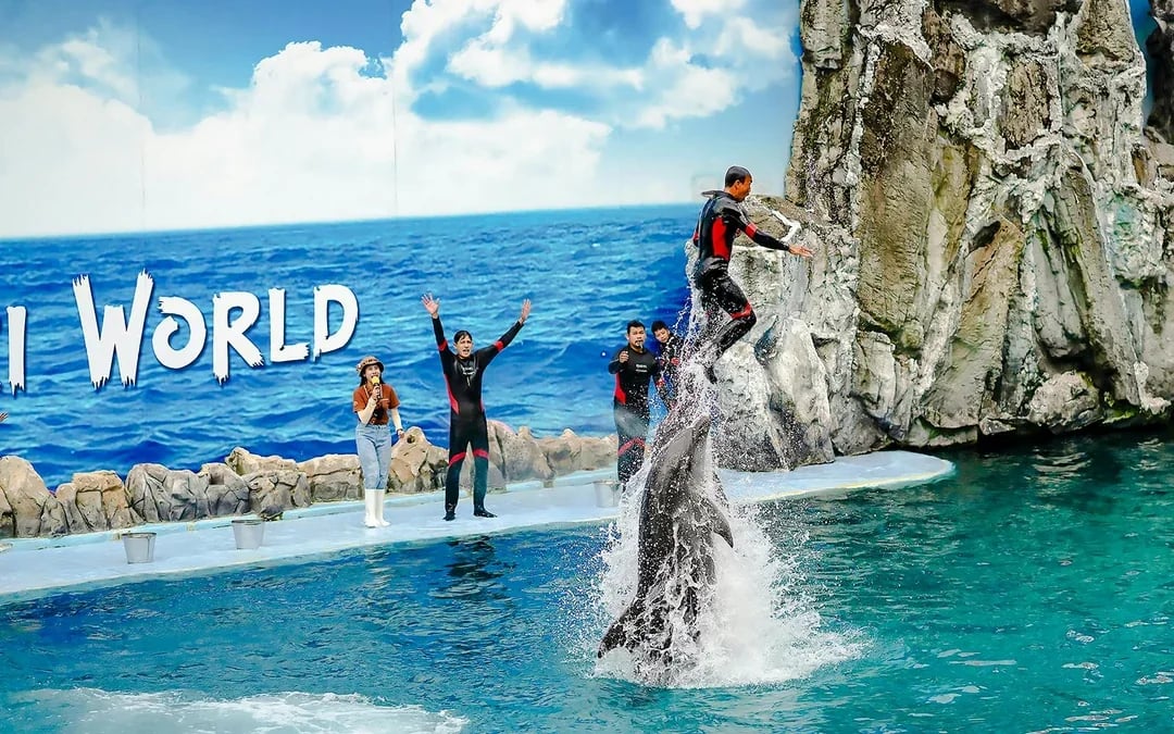 Safari World + Marine Park Tickets with Lunch and Optional Transfers
 Image 4