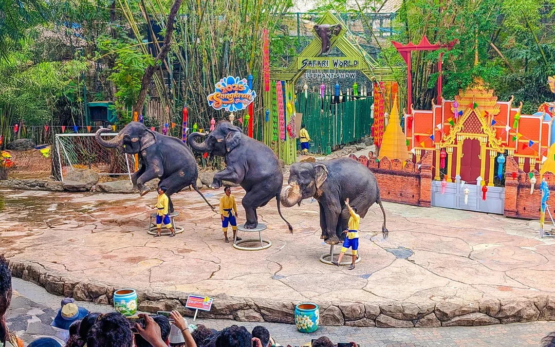 Safari World + Marine Park Tickets with Lunch and Optional Transfers
 Image 5