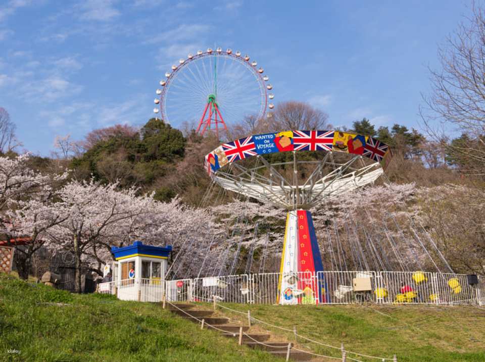 [Kanagawa, Sagamihara] Sagamiko MORIMORI Admission Ticket (Admission Ticket / Free Pass / Night Free Pass)