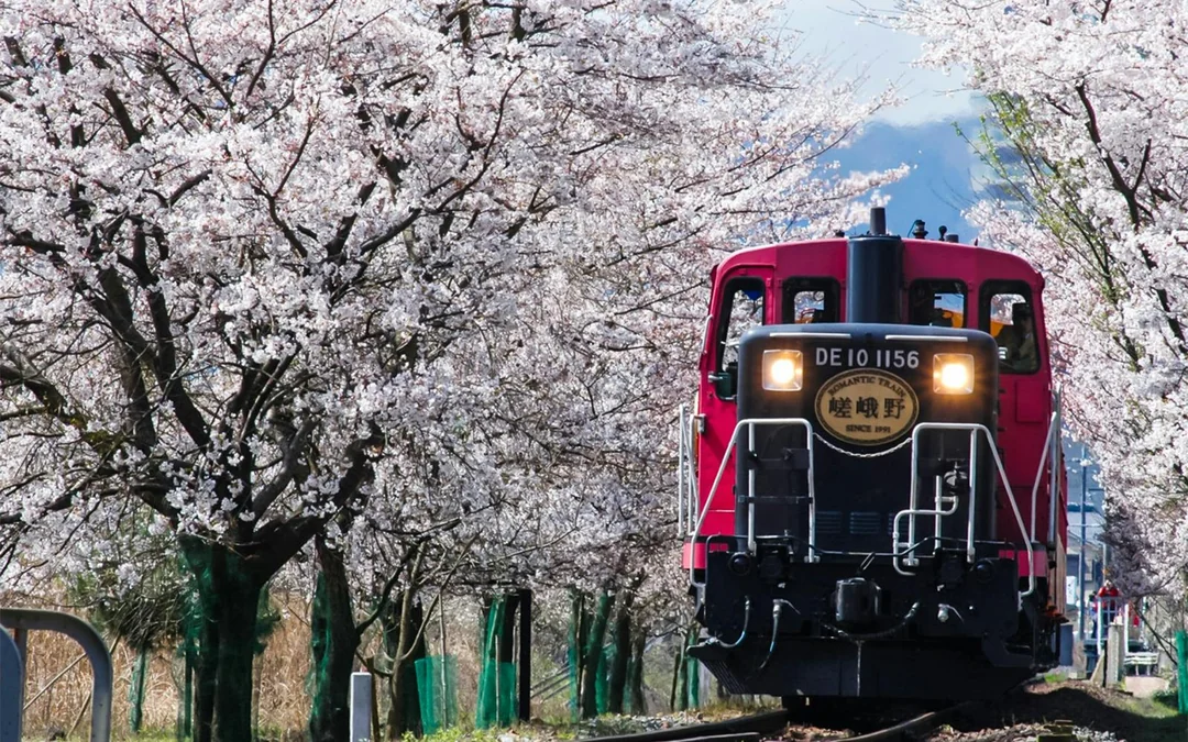 Sagano Romantic Train Ticket: Saga to/from Kameoka Image 5