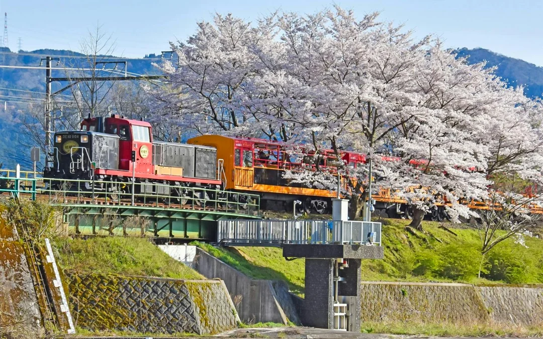 Sagano Romantic Train Ticket: Saga to/from Kameoka Image 6