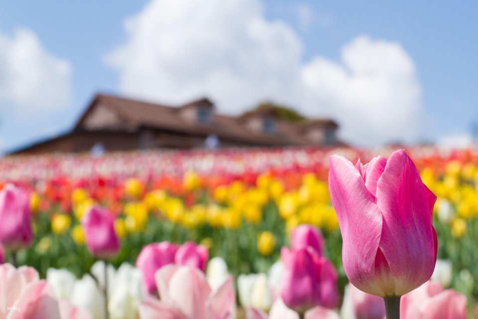 Osaka, Japan | Sakai Green Museum Harvest Hill Natural Farm