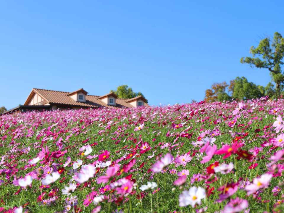 Osaka, Japan | Sakai Green Museum Harvest Hill Natural Farm