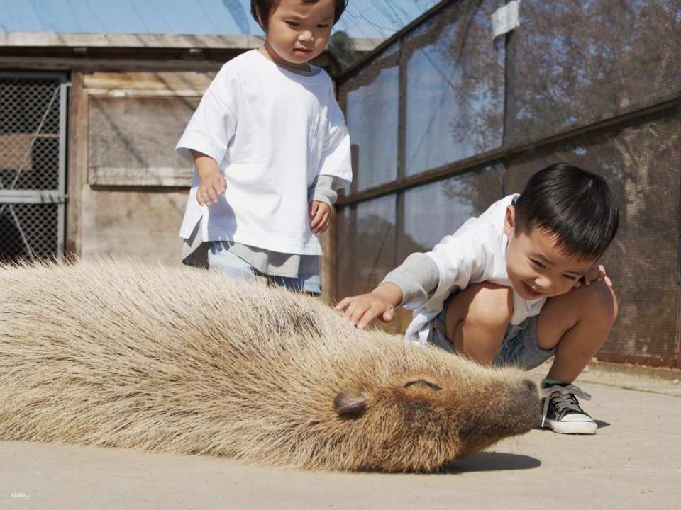 Osaka, Japan | Sakai Green Museum Harvest Hill Natural Farm