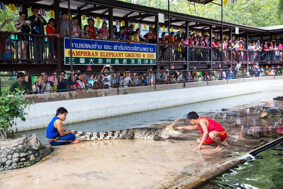 Samphran Elephant Ground & Crocodile Zoo Ticket | Thailand