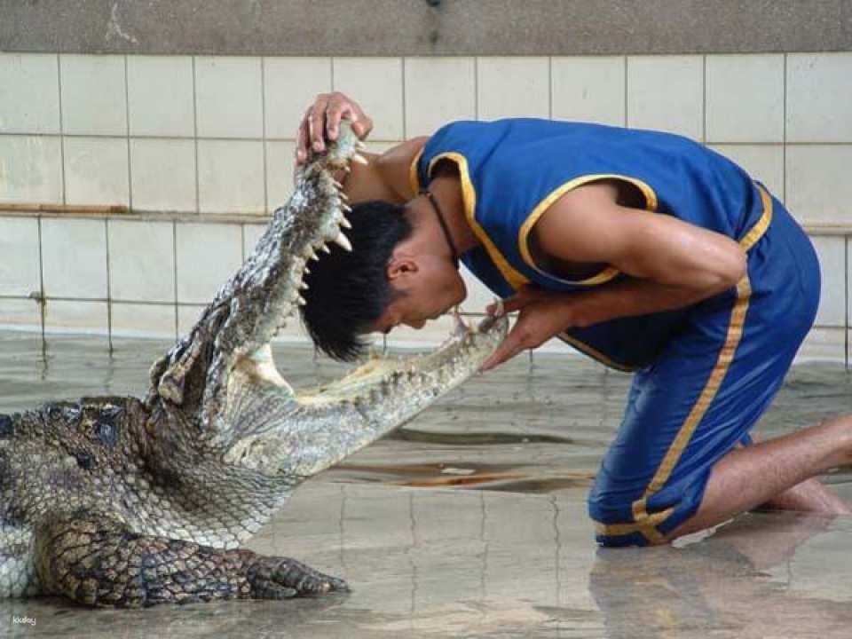 Samphran Elephant Ground & Crocodile Zoo Ticket | Thailand