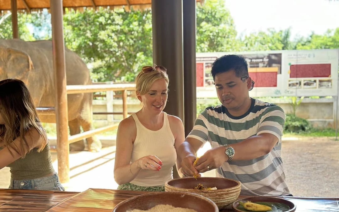 Samui: Feeding Program at the Elephant Home Nursery Image 4