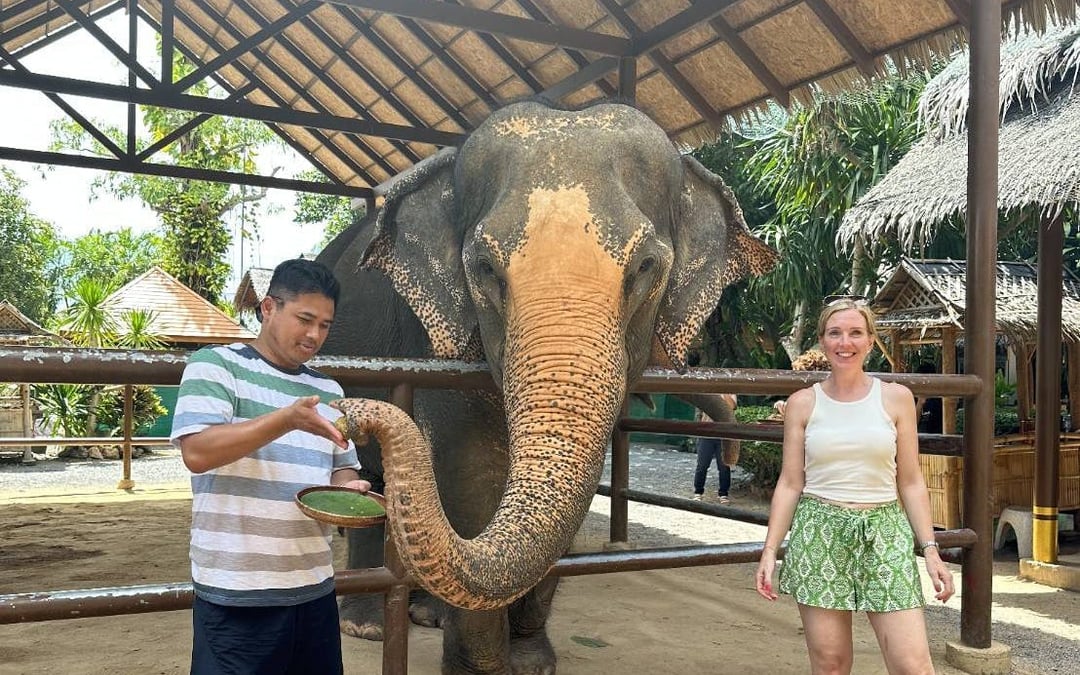 Samui: Feeding Program at the Elephant Home Nursery Image 5