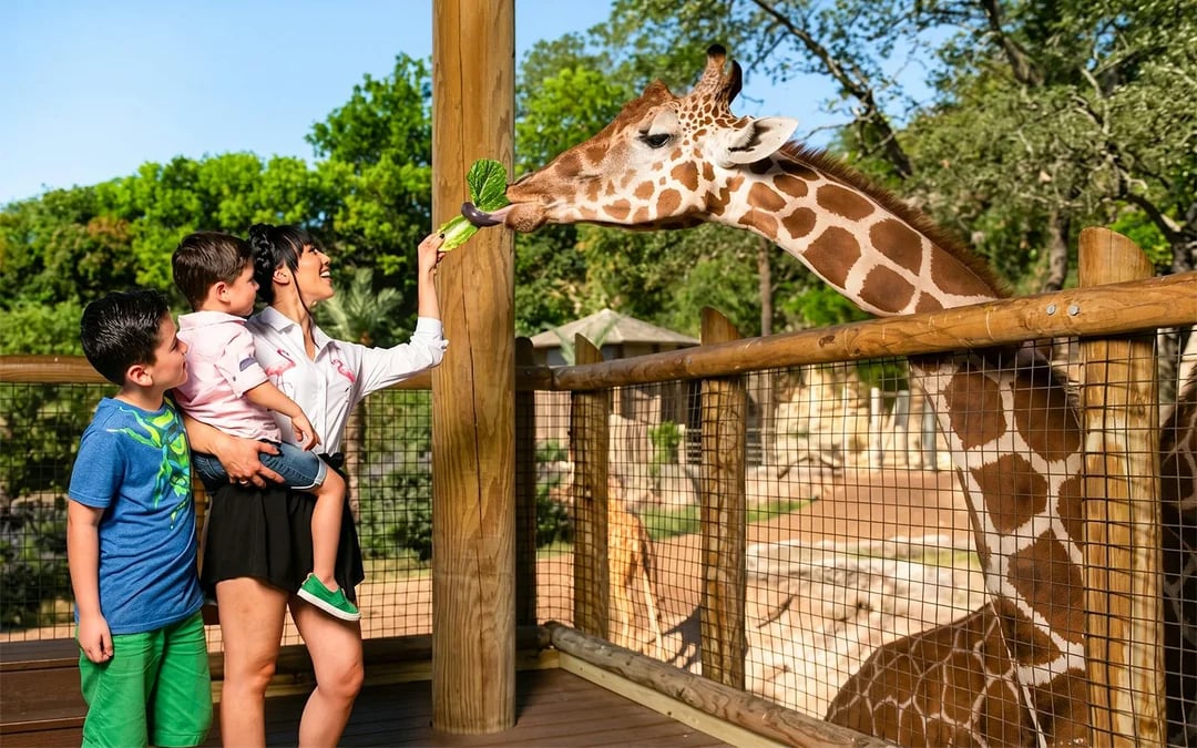 San Antonio Zoo Tickets Image 1