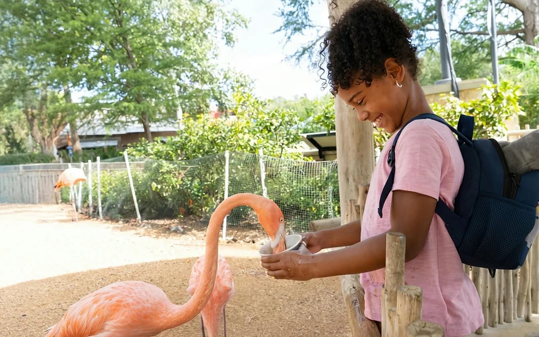 San Antonio Zoo Tickets Image 7