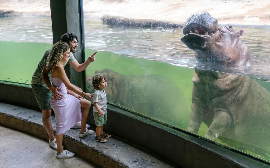 San Antonio Zoo Tickets Image 9