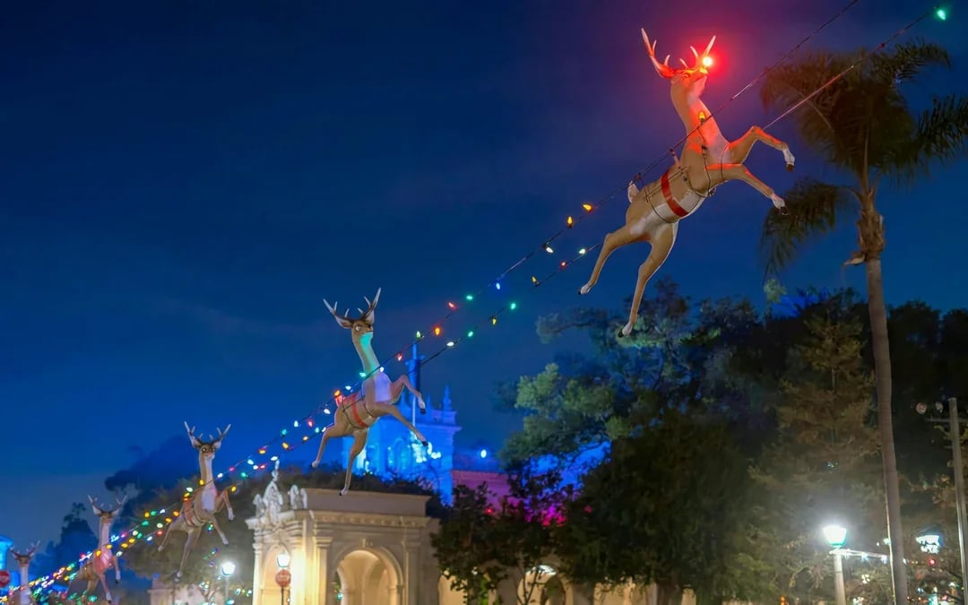 San Diego Holiday Sights and Festive Nights Image 6