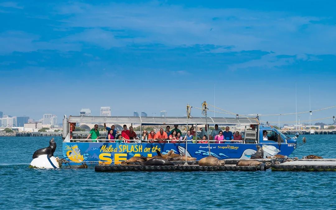 San Diego SEAL Amphibious Tour Image 2