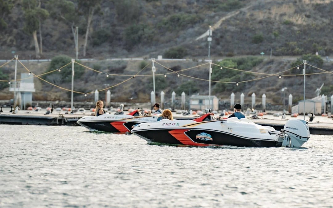 San Diego Speed Boat Adventure Tour Image 1