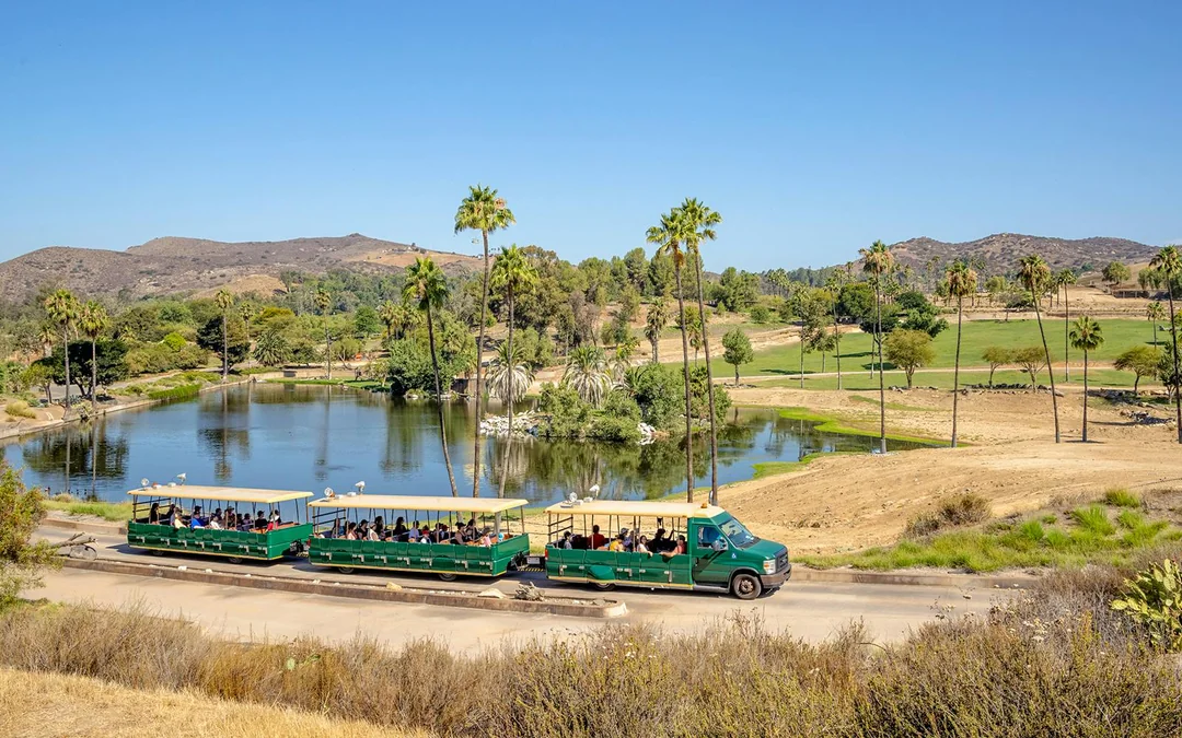 San Diego Zoo & Safari Park 2-Visit Pass Image 1
