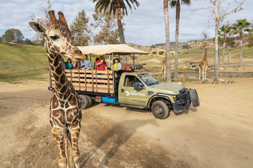 San Diego Zoo Safari Park Admission Ticket | California