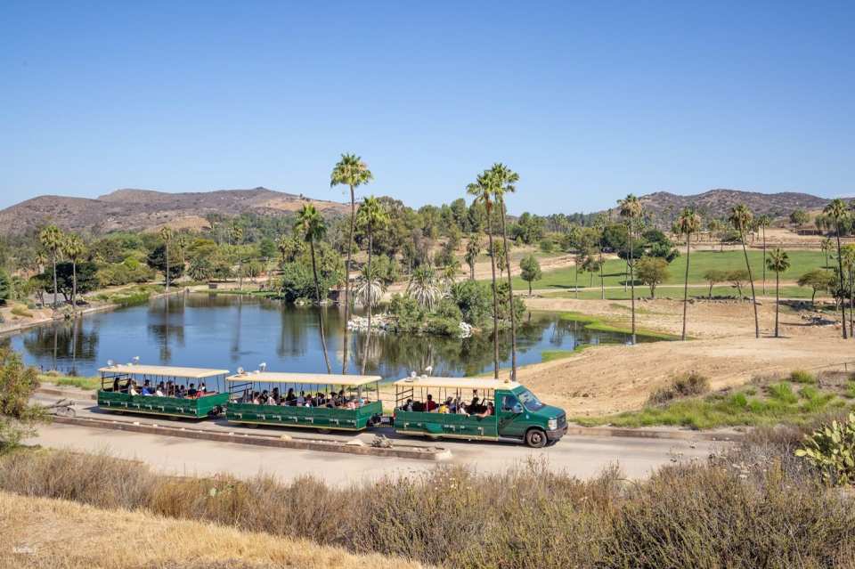 San Diego Zoo Safari Park Admission Ticket | California