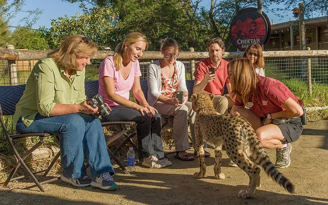 San Diego Zoo Safari Park Tickets Image 11