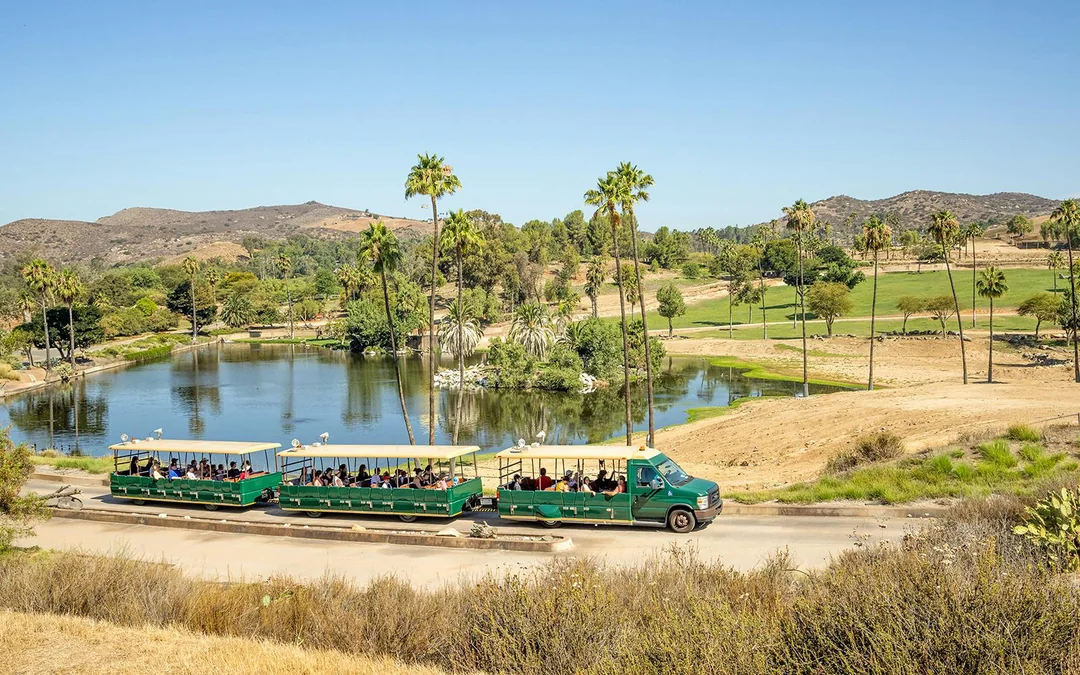 San Diego Zoo Safari Park Tickets Image 3