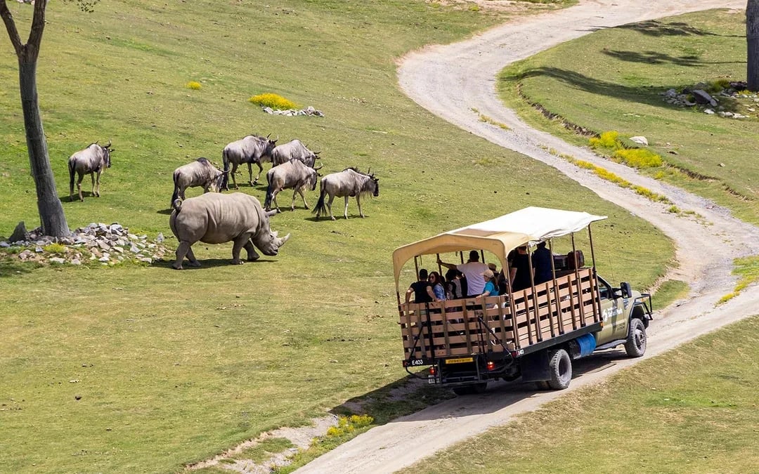San Diego Zoo Safari Park Tickets Image 7