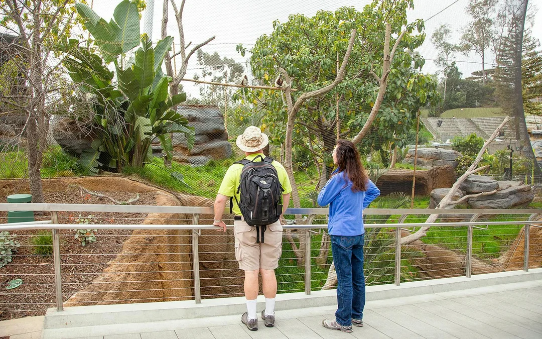 San Diego Zoo Tickets Image 4