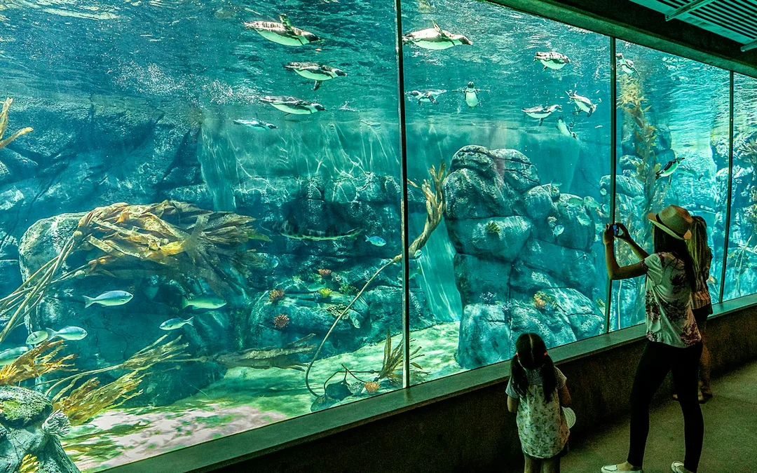 San Diego Zoo Tickets Image 12