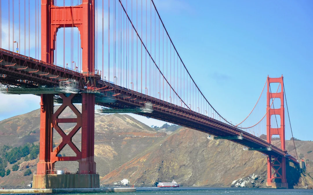 San Francisco Bay Whale Watching Cruise Image 3