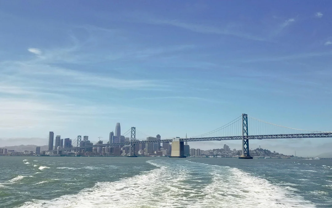San Francisco Bay Whale Watching Cruise Image 6