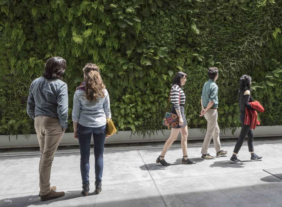 San Francisco Museum of Modern Art Ticket | California