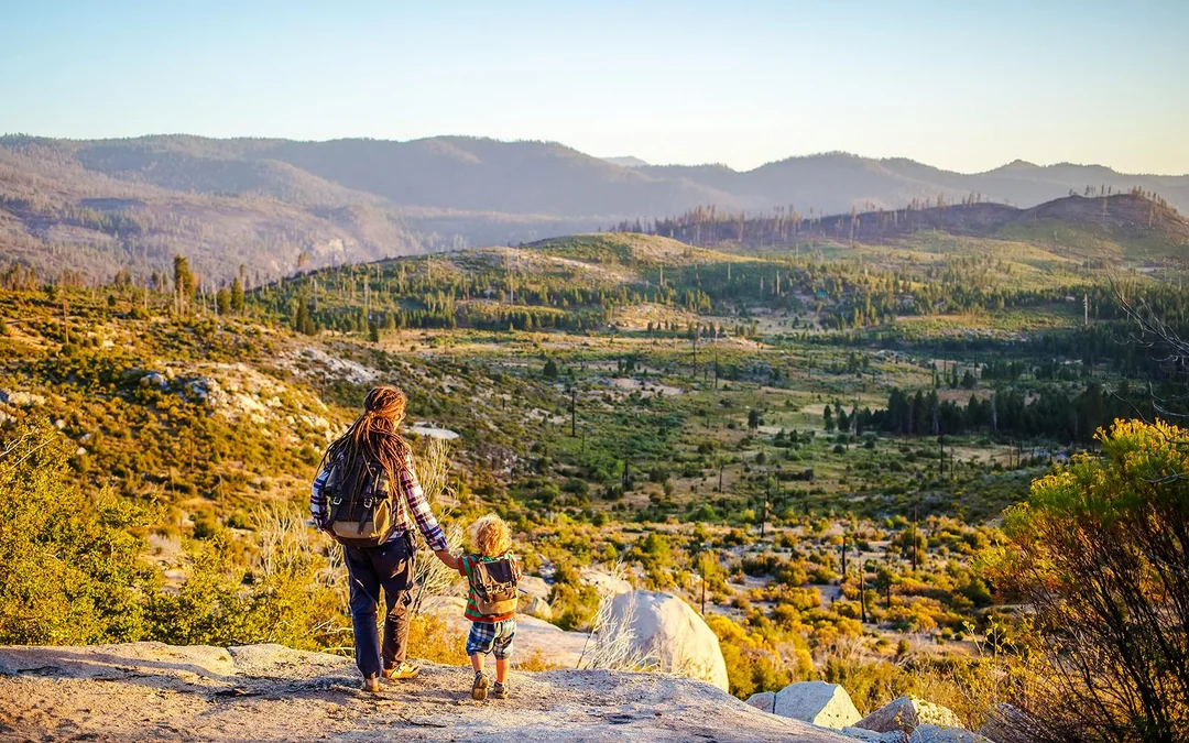 San Francisco To/From Yosemite Multi-Day Transport with Giant Sequoias Hike Image 3