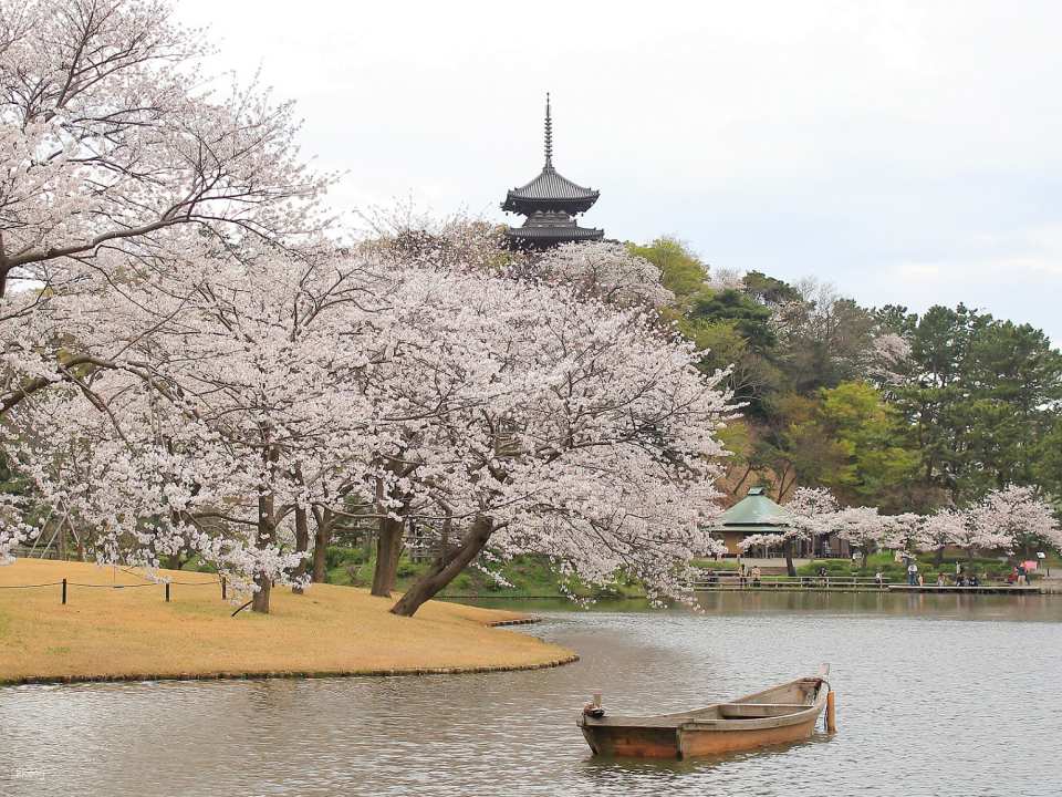 Sankeien Garden Admission Ticket | Instant Confirmation | Yokohama