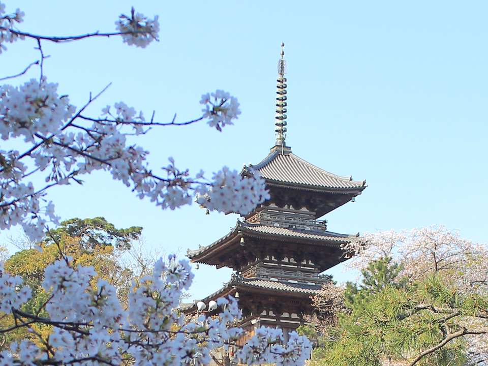 Sankeien Garden Admission Ticket | Instant Confirmation | Yokohama