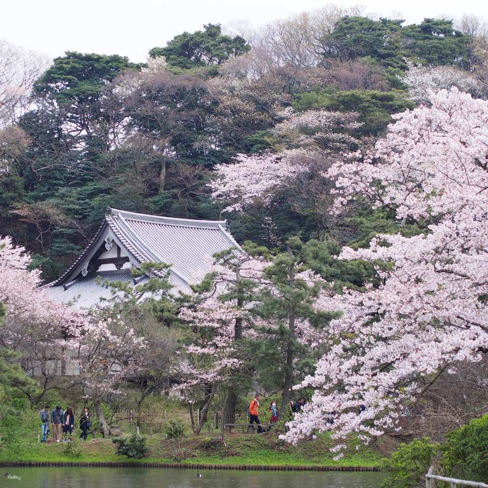 Sankeien Garden Admission Ticket | Instant Confirmation | Yokohama