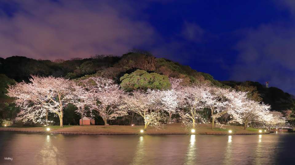 Sankeien Garden Admission Ticket | Instant Confirmation | Yokohama