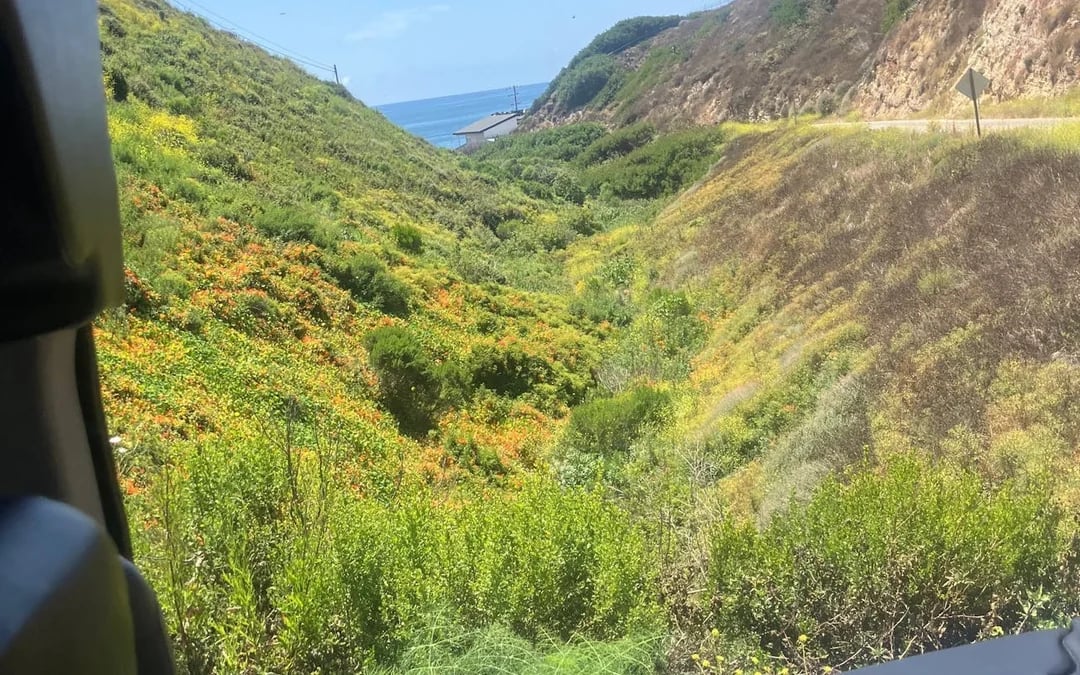 Santa Monica to Malibu: Beaches, PCH and Celebrity Homes Open Air Tour Image 6