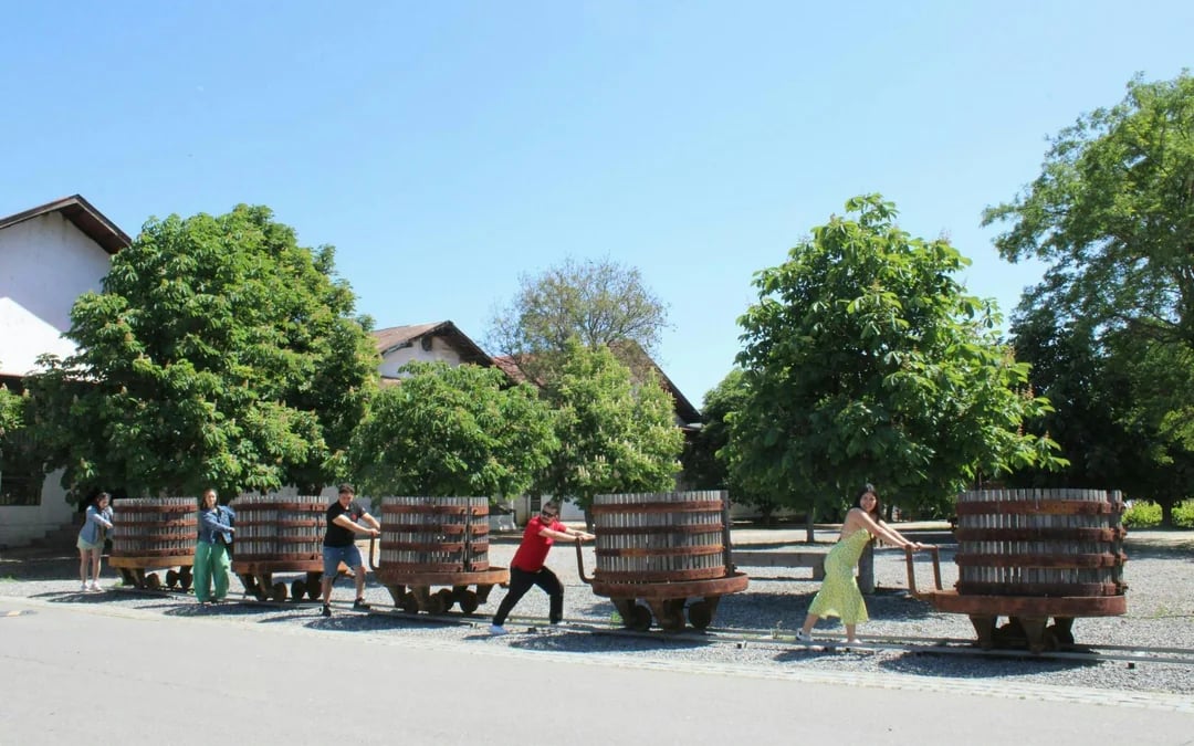 Santa Rita Vineyard Tour: History, Wine, and Outdoor Picnic Image 3