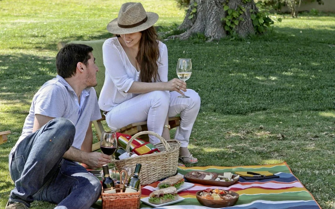 Santa Rita Vineyard Tour: History, Wine, and Outdoor Picnic Image 5