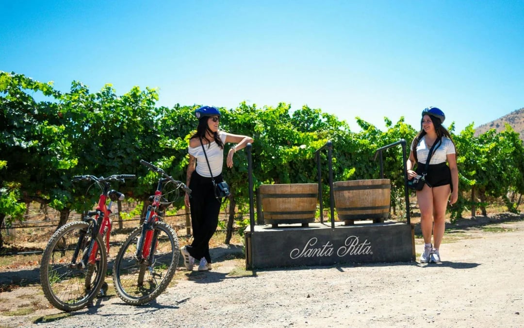 Santa Rita Vineyard Tour: History, Wine, and Outdoor Picnic Image 9